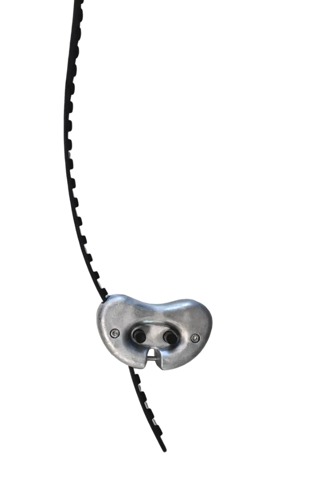 [9601] Collar extension for large bulls