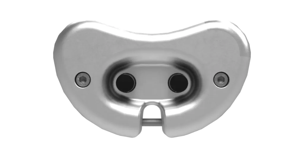 [9602] Lock for cattle collar